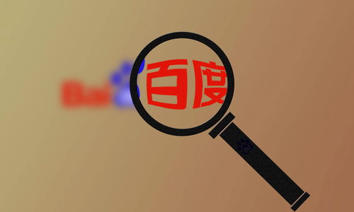 灰色词外推收录排名代做
